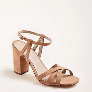 BRAND SPANKING NEW!  Ann Taylor Ilaria Suede Sandals. SWEET!